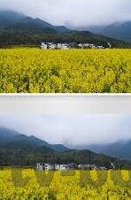 91麻豆天美视频-揭开91麻豆天美视频的独特魅力与文化现象