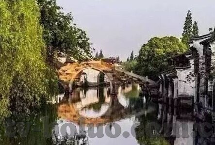 大象传媒怎么下载软件-探索大象传媒软件下载的便捷途径