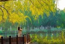 杭州大象传媒公司-杭州大象传媒公司，创新与融合的传媒新势力