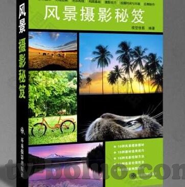 麻豆传媒视频在线视频-麻豆传媒视频，在线平台的艺术与界限
