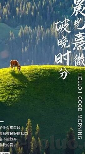 麻豆视频传媒映-麻豆视频传媒映视角下的文化承载与创意探索