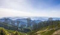 糖心app是干嘛的-深入解析糖心app的独特魅力与功能