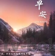 糖心vlog金善雅-糖心Vlog，金善雅的日常生活精彩一瞥