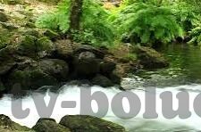 糖心vlog在线观看免费观看-沉浸观影，糖心vlog免费观影的乐趣公开