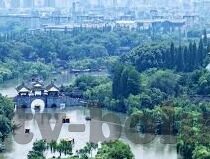 星空无限传媒麻豆-巧妙融合，在星空无限传媒的舞台上，璀璨的麻豆——光影与梦想的交织
